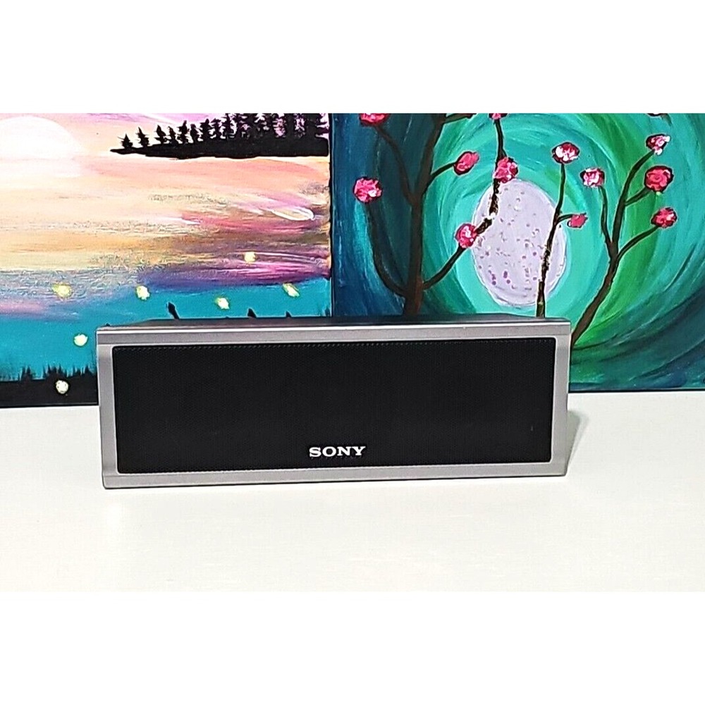 Sony SS-CT80 Surround Speaker Center DAV Home Theater System